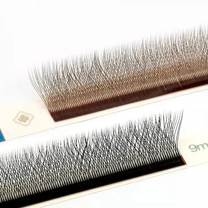 MARIA 3D W Eyelash Extensions Shaped Private Label Wholesale Russian Bundles Supplies Clusters Easy Fan Volume Lashes Y Makeup